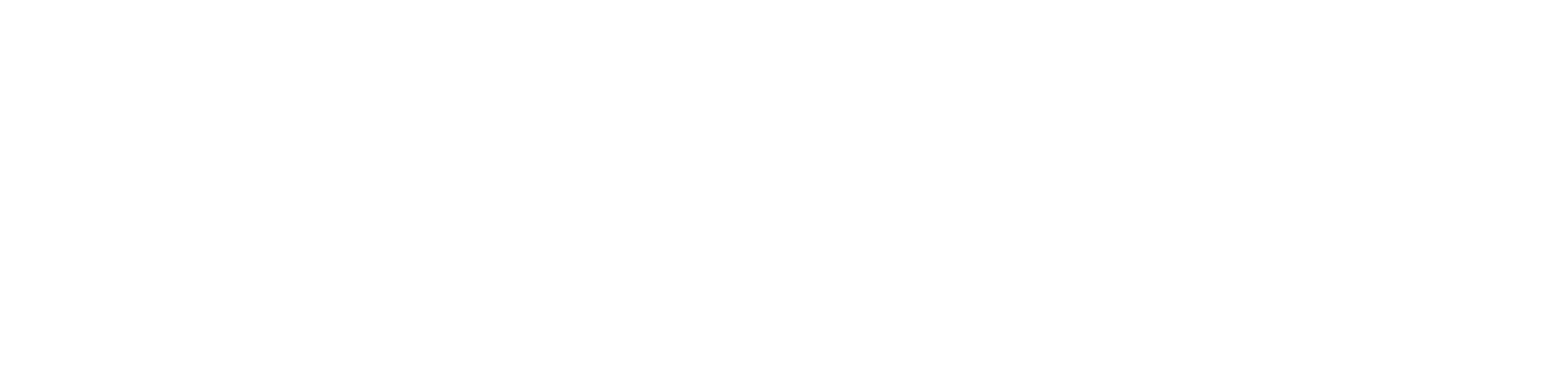 长轻营养食疗