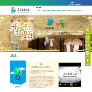 高原蓝梦菇业