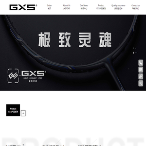 GXS