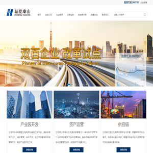 山东新能泰山发电股份有限公司
