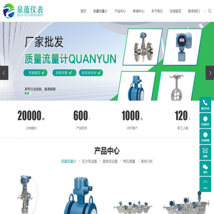 质量流量计